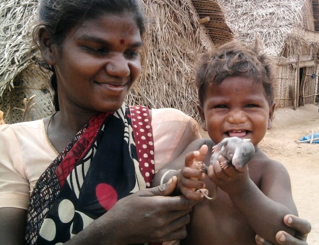 Organisation Profile